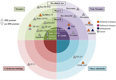 Repositioning Microtubule Stabilizing Drugs for Brain Disorders